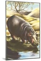 Hippo at Shore-null-Mounted Art Print