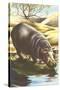 Hippo at Shore-null-Stretched Canvas