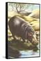 Hippo at Shore-null-Framed Stretched Canvas