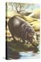 Hippo at Shore-null-Stretched Canvas