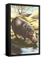 Hippo at Shore-null-Framed Stretched Canvas