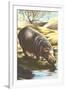 Hippo at Shore-null-Framed Art Print