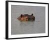 Hippo in Kruger National Park, Mpumalanga, South Africa-Ann & Steve Toon-Framed Photographic Print