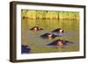 Hippo, Isimangaliso Greater St. Lucia Wetland Park, UNESCO World Heritage Site, South Africa-Christian Kober-Framed Photographic Print