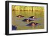 Hippo, Isimangaliso Greater St. Lucia Wetland Park, UNESCO World Heritage Site, South Africa-Christian Kober-Framed Photographic Print