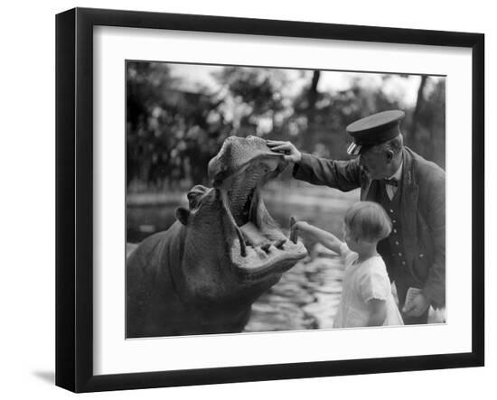 Premium Photographic Print, , large