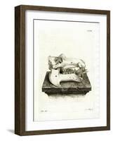 Hippo Skull-null-Framed Giclee Print