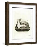 Hippo Skull-null-Framed Giclee Print