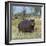 Hippo, with Red-Billed Oxpeckers (Tick Birds), Grazes, Okavango Swamp Edge, Moremi Wildlife Reserve-Nigel Pavitt-Framed Photographic Print