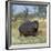 Hippo, with Red-Billed Oxpeckers (Tick Birds), Grazes, Okavango Swamp Edge, Moremi Wildlife Reserve-Nigel Pavitt-Framed Photographic Print