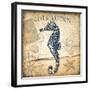 Hippocampe-Bruno Pozzo-Framed Art Print