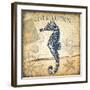 Hippocampe-Bruno Pozzo-Framed Art Print