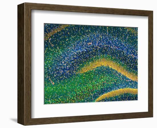 Hippocampus Brain Tissue-Thomas Deerinck-Framed Premium Photographic Print