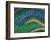 Hippocampus Brain Tissue-Thomas Deerinck-Framed Premium Photographic Print