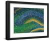 Hippocampus Brain Tissue-Thomas Deerinck-Framed Premium Photographic Print