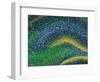 Hippocampus Brain Tissue-Thomas Deerinck-Framed Premium Photographic Print