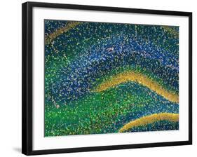 Hippocampus Brain Tissue-Thomas Deerinck-Framed Photographic Print