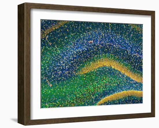 Hippocampus Brain Tissue-Thomas Deerinck-Framed Photographic Print