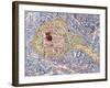 Hippocampus Neuron, TEM-Thomas Deerinck-Framed Photographic Print