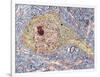 Hippocampus Neuron, TEM-Thomas Deerinck-Framed Photographic Print