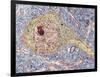 Hippocampus Neuron, TEM-Thomas Deerinck-Framed Photographic Print