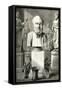 Hippocrates, Louvre Bust-Meyer Heine-Framed Stretched Canvas