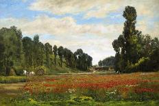 The Poppy Field-Hippolyte Camille Delpy-Framed Stretched Canvas