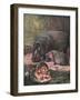 Hippopotami 1909-Cuthbert Swan-Framed Art Print