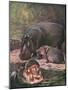 Hippopotami 1909-Cuthbert Swan-Mounted Art Print