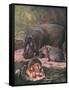 Hippopotami 1909-Cuthbert Swan-Framed Stretched Canvas