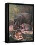 Hippopotami 1909-Cuthbert Swan-Framed Stretched Canvas