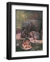 Hippopotami 1909-Cuthbert Swan-Framed Art Print