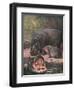 Hippopotami 1909-Cuthbert Swan-Framed Art Print