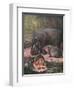 Hippopotami 1909-Cuthbert Swan-Framed Art Print