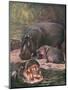 Hippopotami 1909-Cuthbert Swan-Mounted Art Print