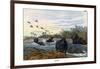 Hippopotamus, 1860-null-Framed Giclee Print