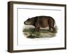 Hippopotamus, 1860-null-Framed Giclee Print