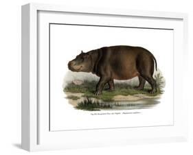 Hippopotamus, 1860-null-Framed Giclee Print