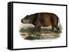 Hippopotamus, 1860-null-Framed Stretched Canvas