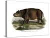 Hippopotamus, 1860-null-Stretched Canvas