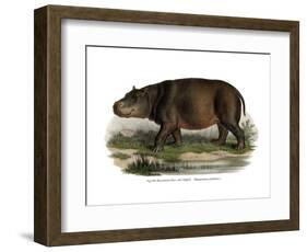 Hippopotamus, 1860-null-Framed Giclee Print