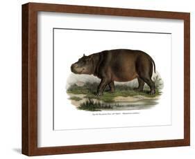Hippopotamus, 1860-null-Framed Giclee Print