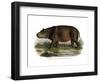 Hippopotamus, 1860-null-Framed Giclee Print