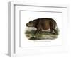 Hippopotamus, 1860-null-Framed Giclee Print