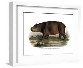 Hippopotamus, 1860-null-Framed Giclee Print