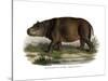 Hippopotamus, 1860-null-Stretched Canvas