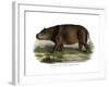 Hippopotamus, 1860-null-Framed Giclee Print