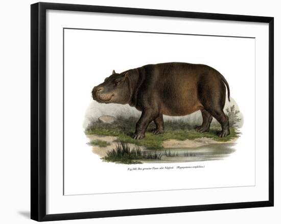 Hippopotamus, 1860-null-Framed Giclee Print