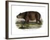 Hippopotamus, 1860-null-Framed Giclee Print