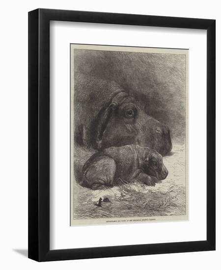 Hippopotamus and Young at the Zoological Society's Gardens-George Bouverie Goddard-Framed Premium Giclee Print